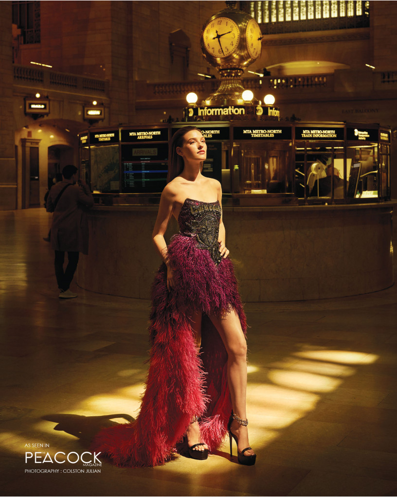 Peacock discount corset dress