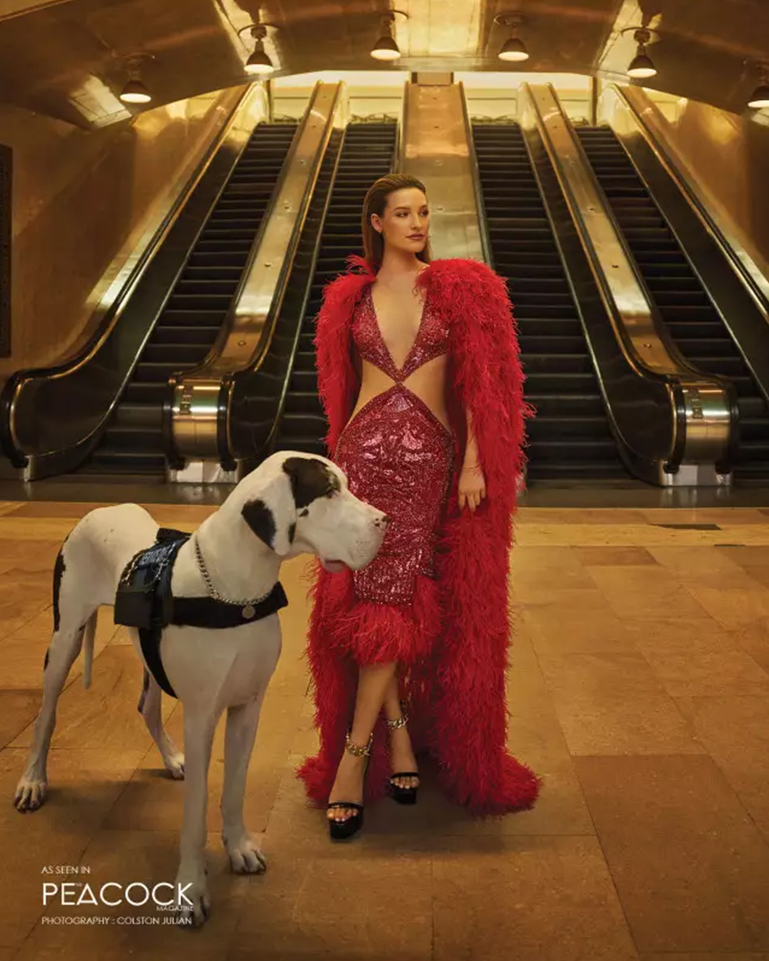 CLARET SEQUINNED CUT-OUT DRESS WITH FEATHER CAPE