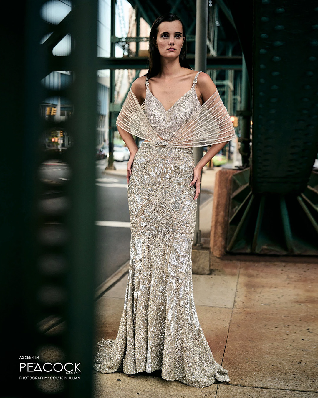 Party wear gown discount shopping